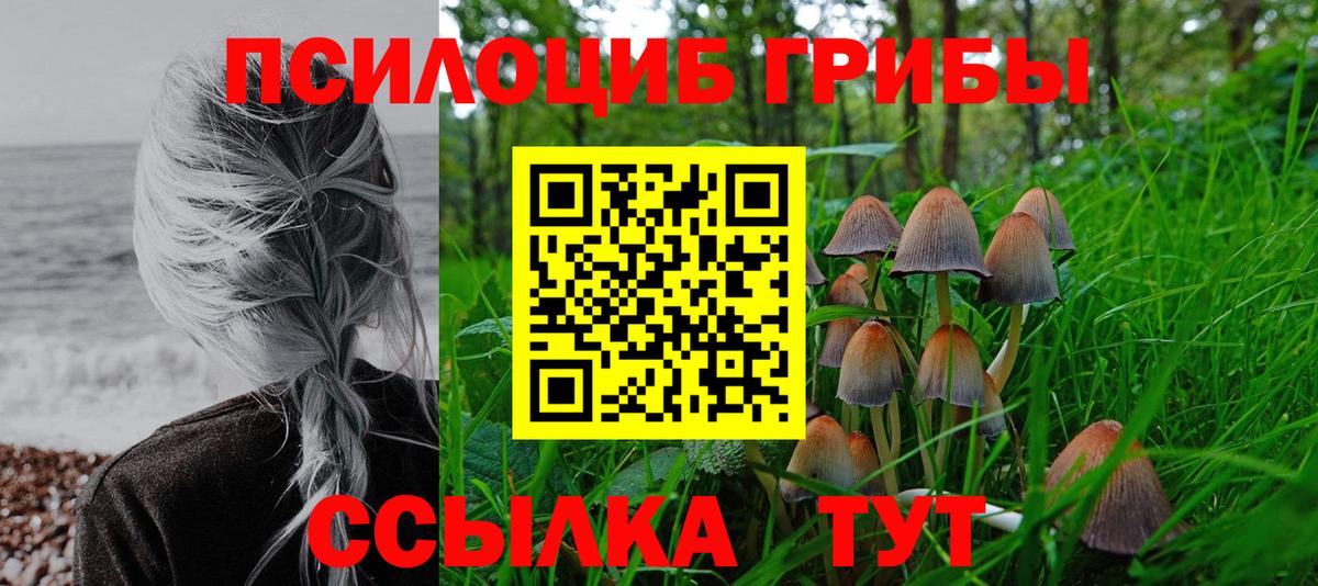 Псилоцибиновые грибы Cubensis  Вход с VPN  Псилоцибиновые грибы мухоморы  Апрелевка 
